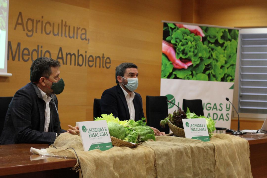 El consejero de Agua, Agricultura, Ganadería, Pesca y Medio Ambiente, Antonio Luengo, junto al presidente de Proexport, Juan Marín, durante la presentación de la campaña de promoción de lechugas y ensaladas de la Región de Murcia El consejero de Agua, Agricultura, Ganadería, Pesca y Medio Ambiente, Antonio Luengo, junto al presidente de Proexport, Juan Marín, durante la presentación de la campaña de promoción de lechugas y ensaladas de la Región de Murcia
