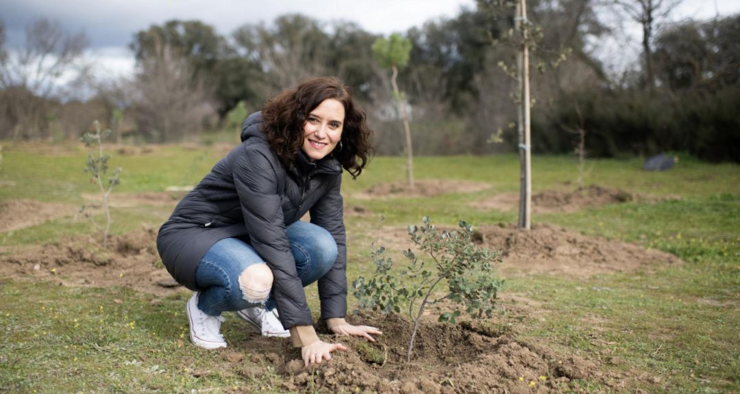 Hace justo un año, la presidenta de la Comunidad de Madrid, Isabel Díaz Ayuso, y alumnos del colegio público Príncipe Don Felipe de Boadilla del Monte, participaron en el inicio del proyecto 'Arco Verde' con la plantación de los primeros 350 árboles. Hace justo un año, la presidenta de la Comunidad de Madrid, Isabel Díaz Ayuso, y alumnos del colegio público Príncipe Don Felipe de Boadilla del Monte, participaron en el inicio del proyecto 'Arco Verde' con la plantación de los primeros 350 árboles.