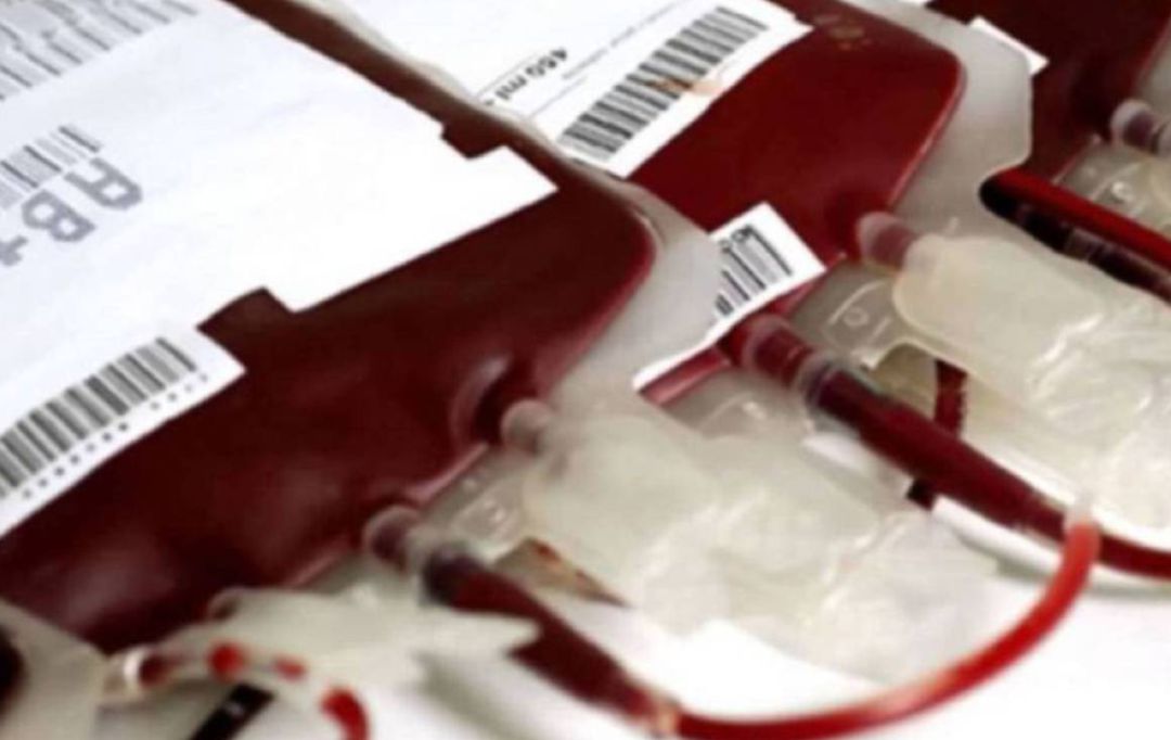 Bolsas de recogida de sangre. Bolsas de recogida de sangre.