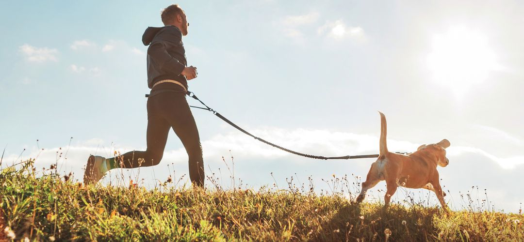 Hombre hace deporte con su perro Hombre hace deporte con su perro