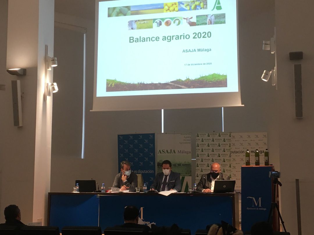 Balance Agrario Asaja Málaga Balance Agrario Asaja Málaga