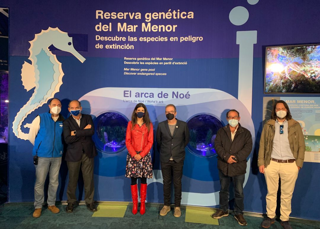 Muestra del Mar Menor en el Oceanografic de Valencia Muestra del Mar Menor en el Oceanografic de Valencia