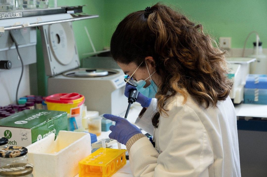 Un laboratorio en Madrid.
Un laboratorio en Madrid.