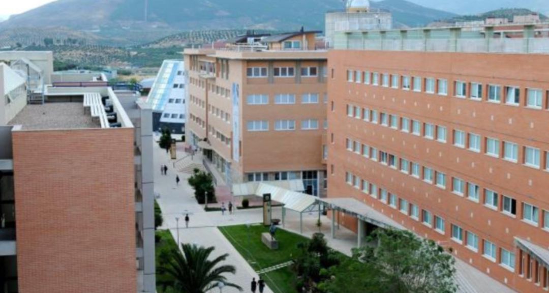 Campus de Las Lagunillas de la Universidad de Jaén. Campus de Las Lagunillas de la Universidad de Jaén.
