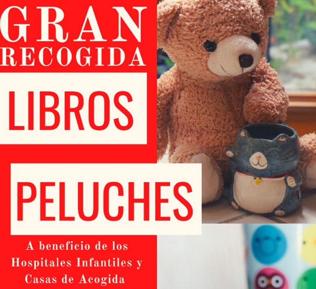 "Gran Recogida de Libros y Peluches" "Gran Recogida de Libros y Peluches"