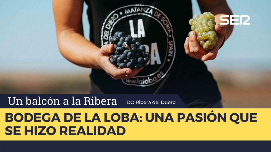 Bodega de La Loba Bodega de La Loba