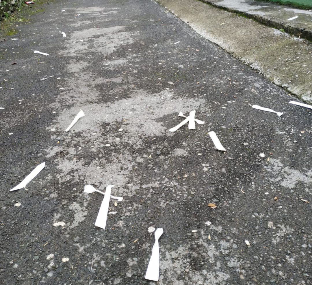Algunos de los test que han sido arrojado por el municipio de Güeñes Algunos de los test que han sido arrojado por el municipio de Güeñes