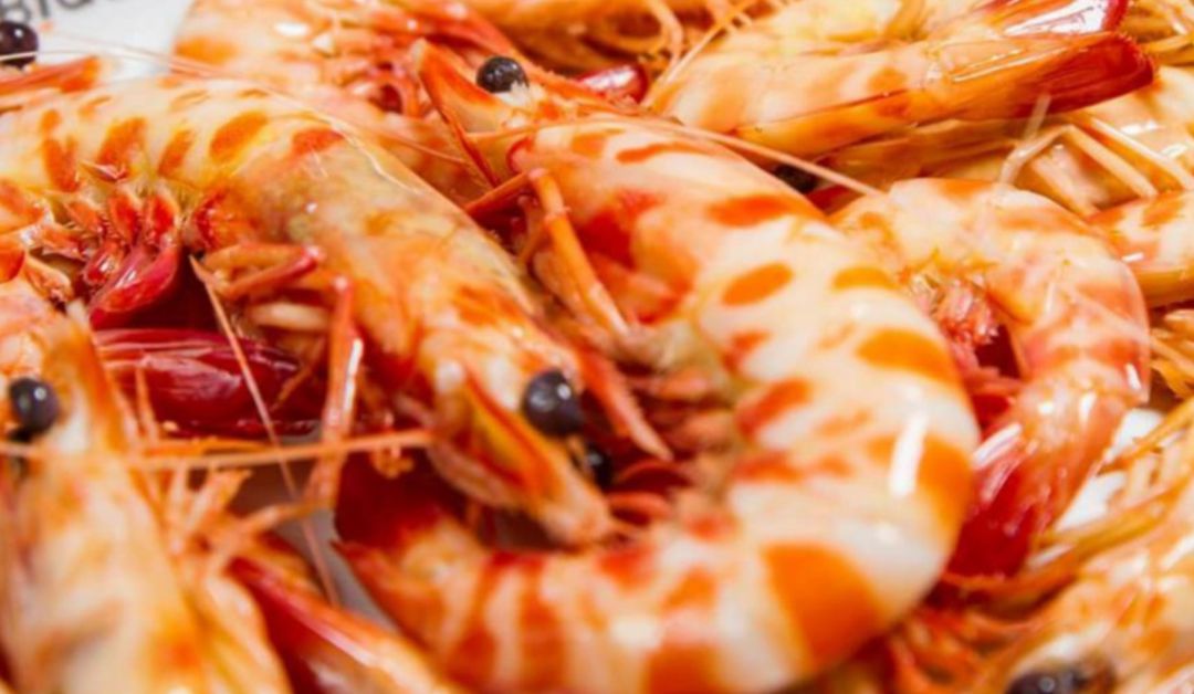 El marisco, un clásico de todas las mesas en fin de año El marisco, un clásico de todas las mesas en fin de año