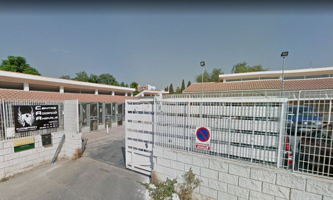 Instalaciones del refugio de Benimàmet donde se trasladan los animales abandonados recogidos en la actualidad en València Instalaciones del refugio de Benimàmet donde se trasladan los animales abandonados recogidos en la actualidad en València