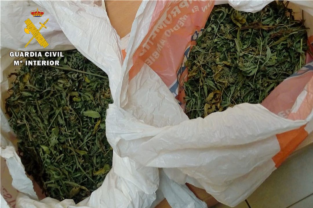 Droga aprehendida Droga aprehendida