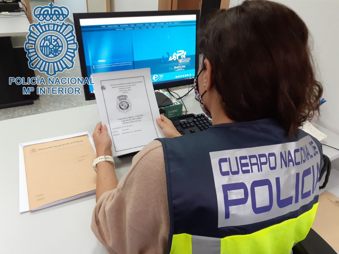 El perfil del detenido es un varón de entre 41 y 64 años El perfil del detenido es un varón de entre 41 y 64 años