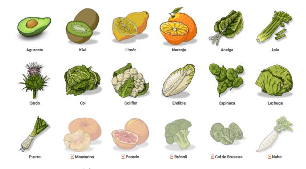 Estas son las frutas y verduras de esta temporada. Estas son las frutas y verduras de esta temporada.