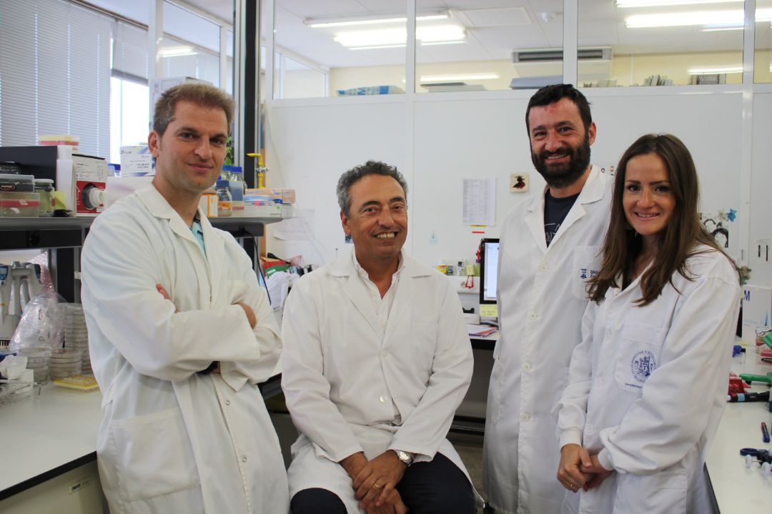 Un estudio de tuberculosis en macacos muestra que la vacuna MTBVAC de la UZ protege mejor que la actual BCG. En la imagen: Jesús Gonzalo-Asensio, Carlos Martín, Ignacio Aguiló, y Dessislava Vaneva Marinova, parte del equipo de Vacuna MTBVAC Un estudio de tuberculosis en macacos muestra que la vacuna MTBVAC de la UZ protege mejor que la actual BCG. En la imagen: Jesús Gonzalo-Asensio, Carlos Martín, Ignacio Aguiló, y Dessislava Vaneva Marinova, parte del equipo de Vacuna MTBVAC