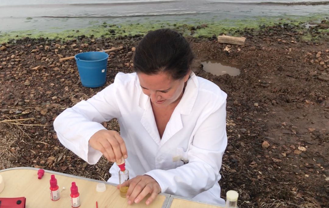 Rocío García, autora del estudio Rocío García, autora del estudio