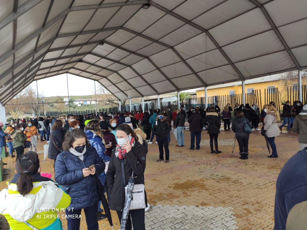 Personal educativo citado hoy en Linares para las pruebas Covid, antes del volver a las aulas Personal educativo citado hoy en Linares para las pruebas Covid, antes del volver a las aulas