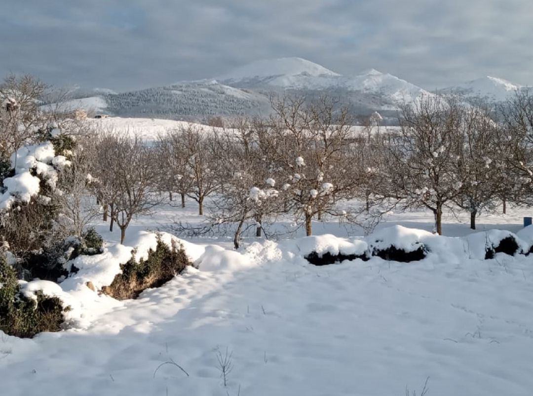 El Aratz dominado por la nieve como el resto de La Llanada alavesa El Aratz dominado por la nieve como el resto de La Llanada alavesa