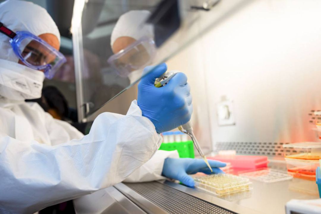 Conselleria de Sanitat ha comunicado el registro de 453 nuevos casos positivos confirmador por PCR o test de antígenos Conselleria de Sanitat ha comunicado el registro de 453 nuevos casos positivos confirmador por PCR o test de antígenos