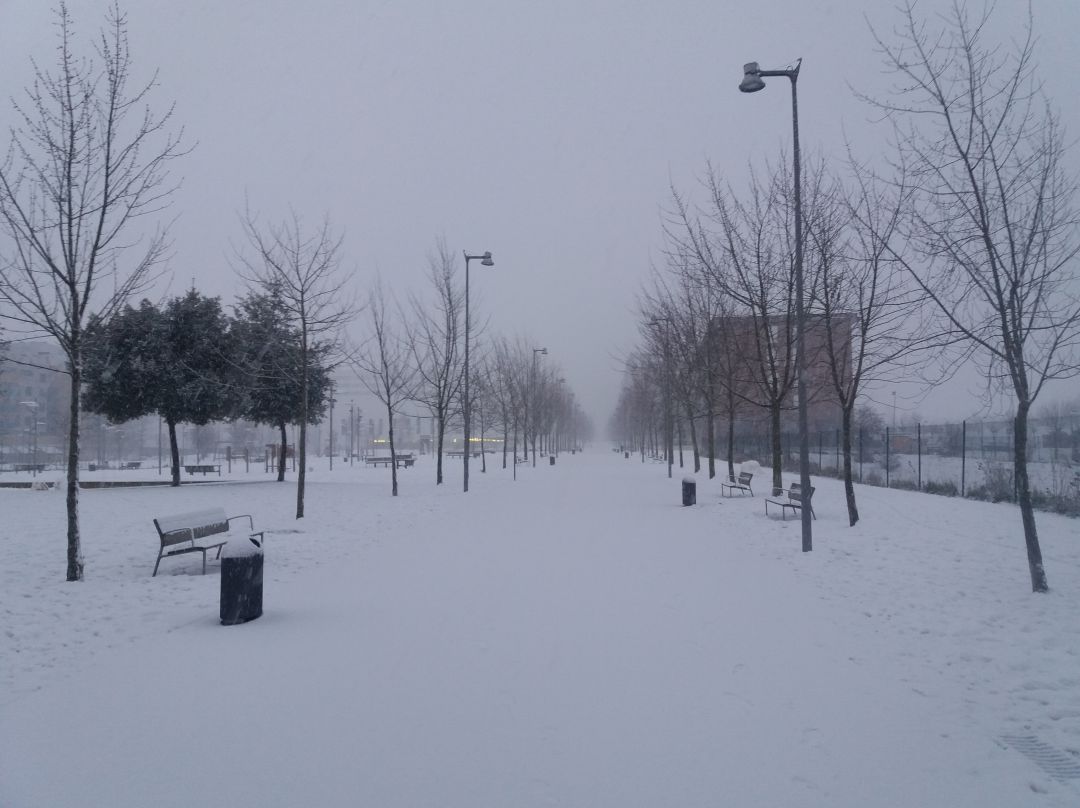 La última nevada hace unos días dejó estampas como esta en Vitoria La última nevada hace unos días dejó estampas como esta en Vitoria