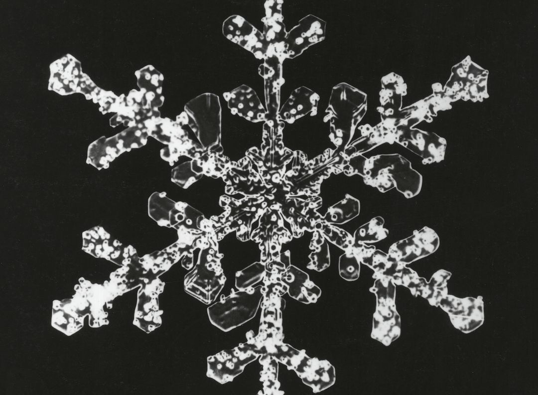 Un copo de nieve, visto en microscopio. Un copo de nieve, visto en microscopio.
