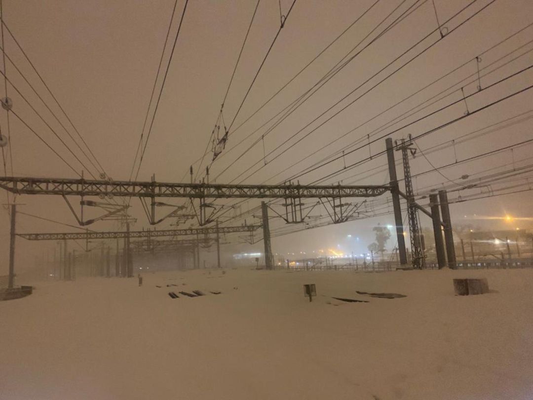Así ha dejado la nieve la Estación de Atocha en Madrid Así ha dejado la nieve la Estación de Atocha en Madrid