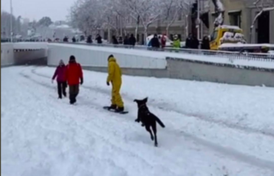 Imagen de Jairo Alonso haciendo 'snow' por las calles de Madrid Imagen de Jairo Alonso haciendo 'snow' por las calles de Madrid