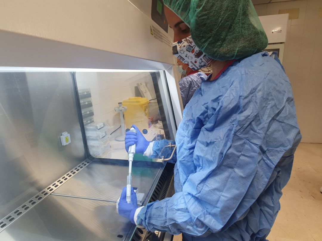Salud detecta más brotes de coronavirus en Ibiza y Formentera Salud detecta más brotes de coronavirus en Ibiza y Formentera