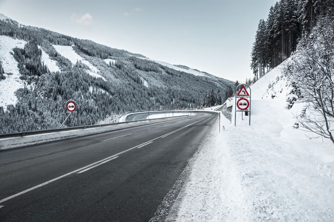 La nieve no ha causado importantes problemas a agricultura y ganadería en la provincia La nieve no ha causado importantes problemas a agricultura y ganadería en la provincia