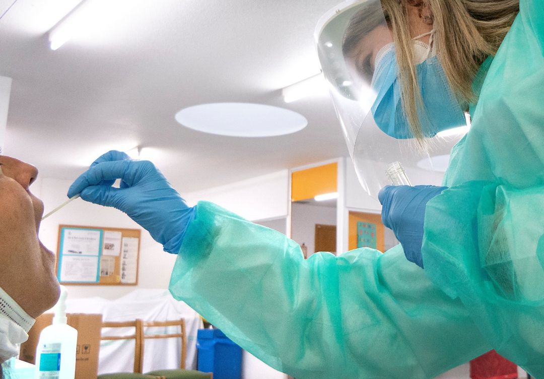 Prueba PCR Prueba PCR