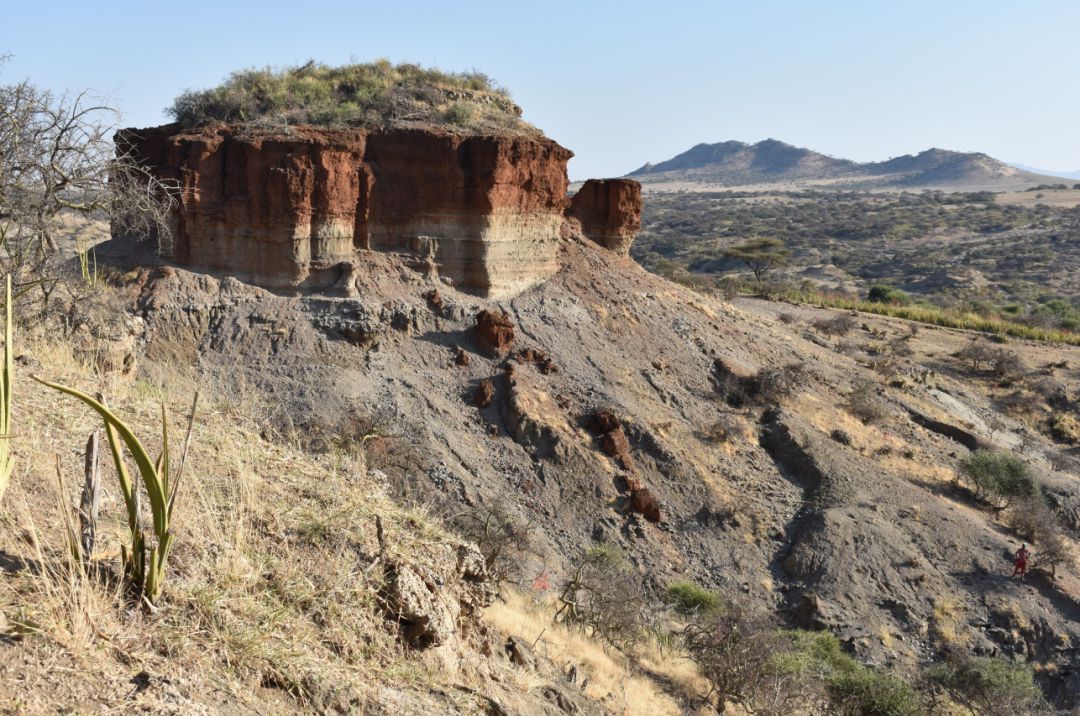 Los resultados muestran cómo los primeros homininos explotaron reiteradamente hábitats muy diversos en el norte de Tanzania Los resultados muestran cómo los primeros homininos explotaron reiteradamente hábitats muy diversos en el norte de Tanzania