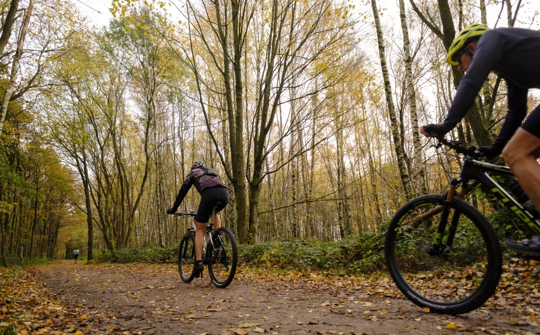 Euskadi autoriza el deporte en grupo al aire libre Euskadi autoriza el deporte en grupo al aire libre