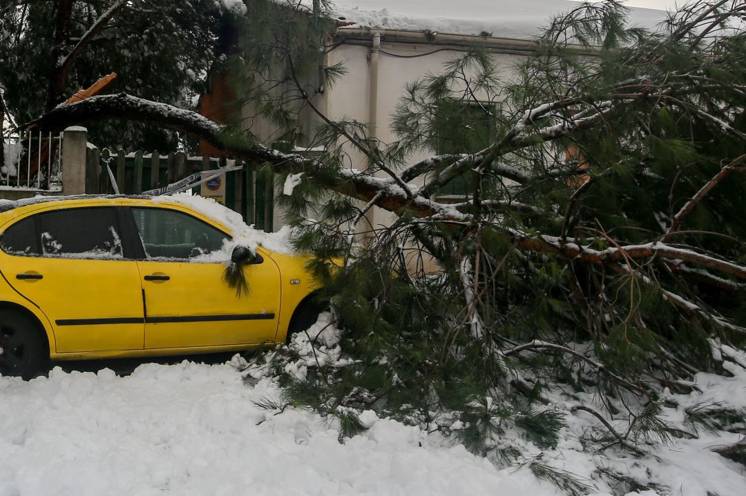 Un árbol derrumbado sobre un coche, tras la nevada fruto del temporal Filomena, en Pozuelo de Alarcón (España). Un árbol derrumbado sobre un coche, tras la nevada fruto del temporal Filomena, en Pozuelo de Alarcón (España).