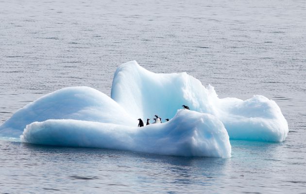 El deshielo de la Antártida es uno de los síntomas más evidentes del cambio climático. El deshielo de la Antártida es uno de los síntomas más evidentes del cambio climático.