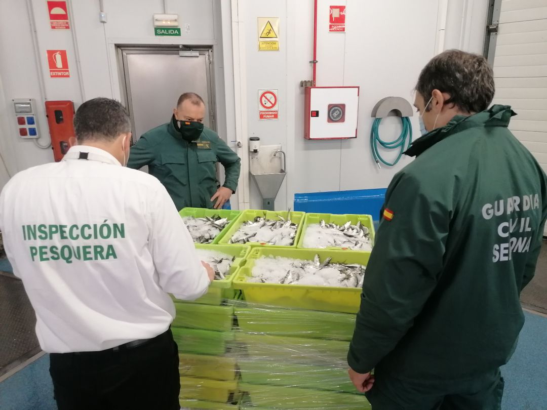 Momento en el que inspeccionan la partida fraudulenta de pescado en las instalaciones de Guarromán Momento en el que inspeccionan la partida fraudulenta de pescado en las instalaciones de Guarromán