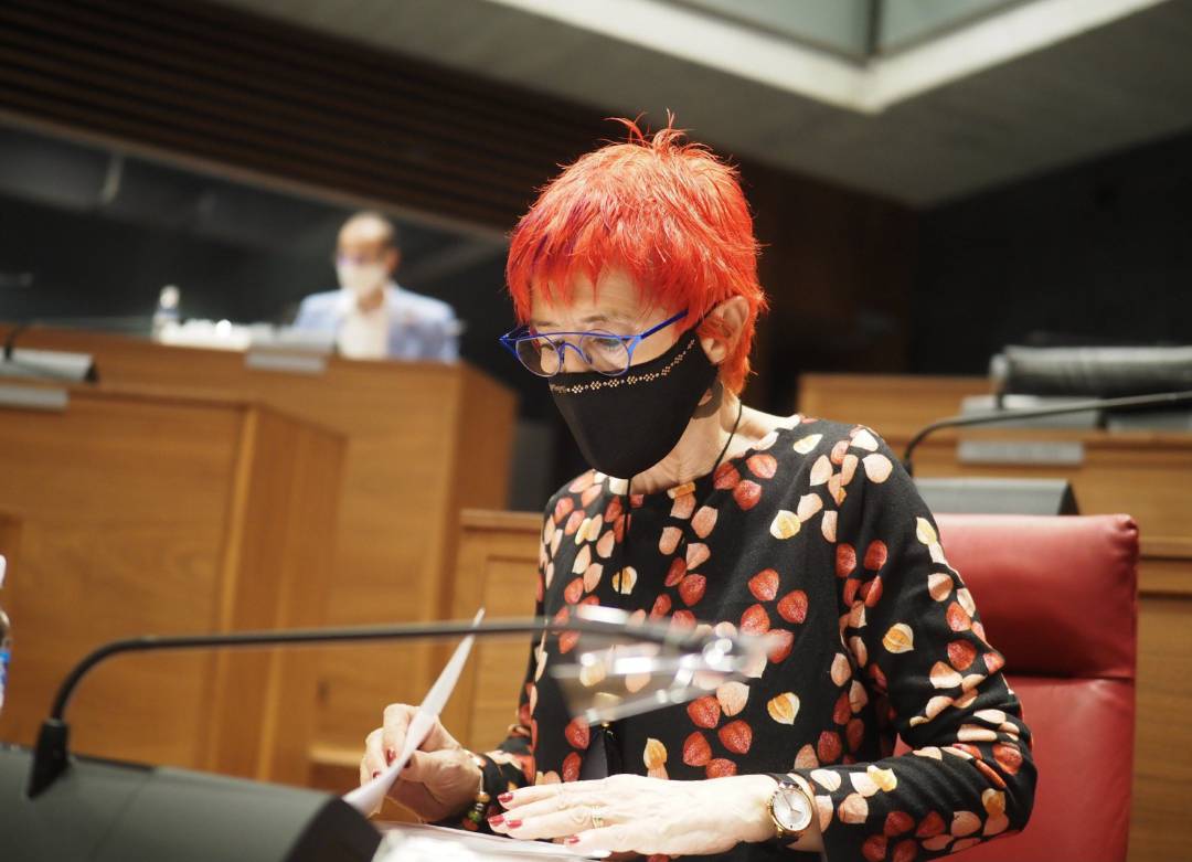 La consejera de Salud del Gobierno de Navarra, Santos Induráin, en el Parlamento de Navarra. La consejera de Salud del Gobierno de Navarra, Santos Induráin, en el Parlamento de Navarra.
