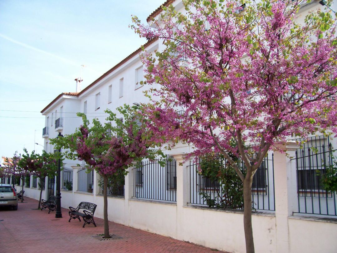 Exteriores de la residencia Exteriores de la residencia