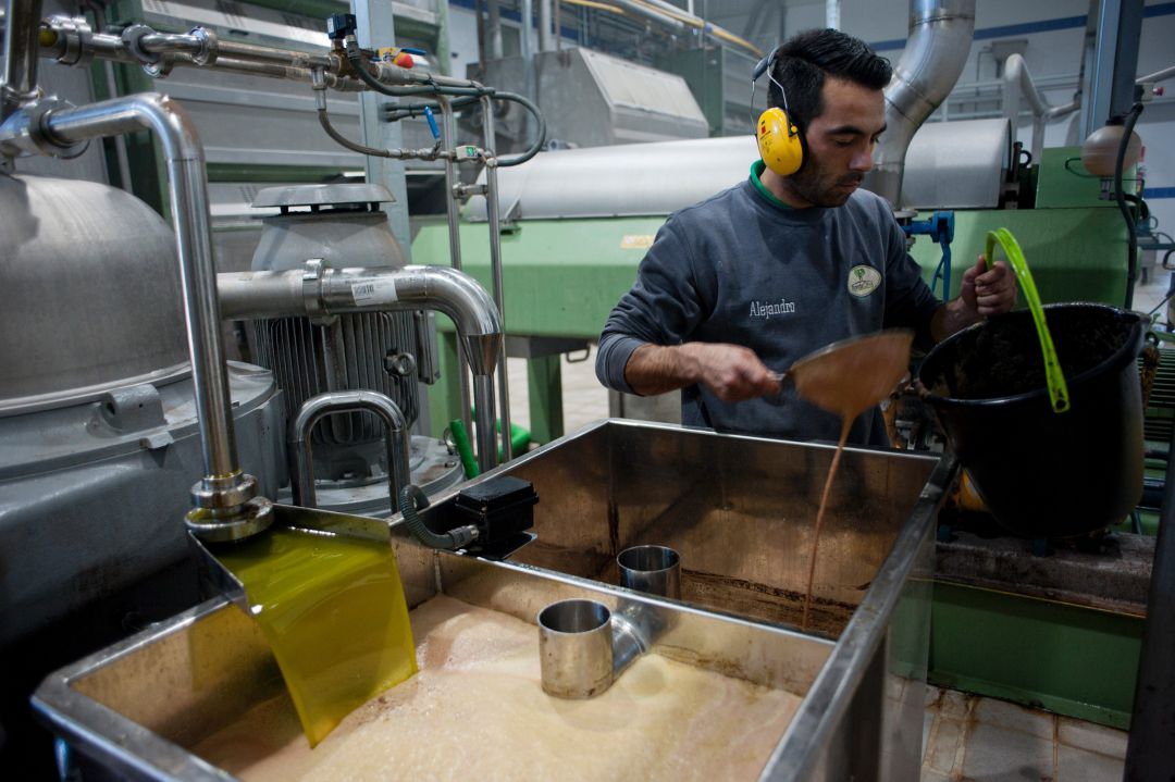 El sector del aceite ya está cansado de negociar con la patronal, ya que denuncian que no están poniendo de su parte El sector del aceite ya está cansado de negociar con la patronal, ya que denuncian que no están poniendo de su parte