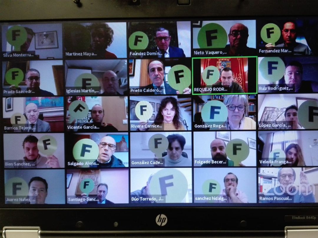 Uno de los momentos del pleno telemático Uno de los momentos del pleno telemático