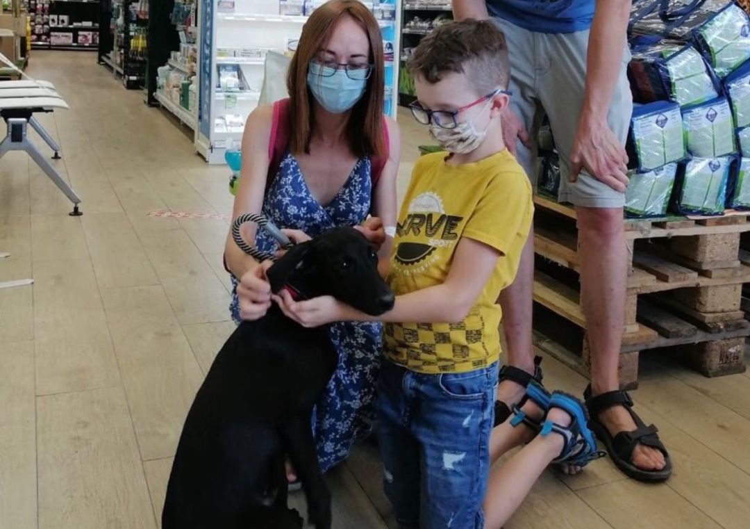 Onda consigue una nueva familia a 71 mascotas abandonadas durante el último año Onda consigue una nueva familia a 71 mascotas abandonadas durante el último año