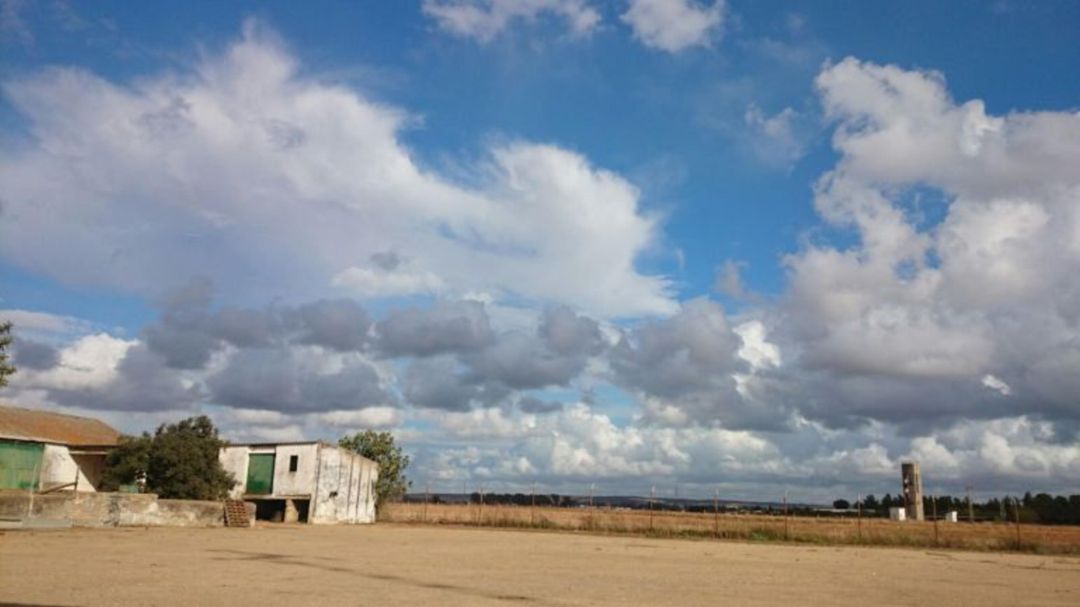 Imagen de la Finca Los Palmares en Trigueros (Huelva) Imagen de la Finca Los Palmares en Trigueros (Huelva)