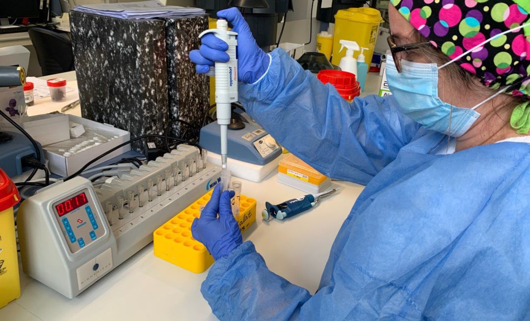 Prueba PCR en un hospital Prueba PCR en un hospital