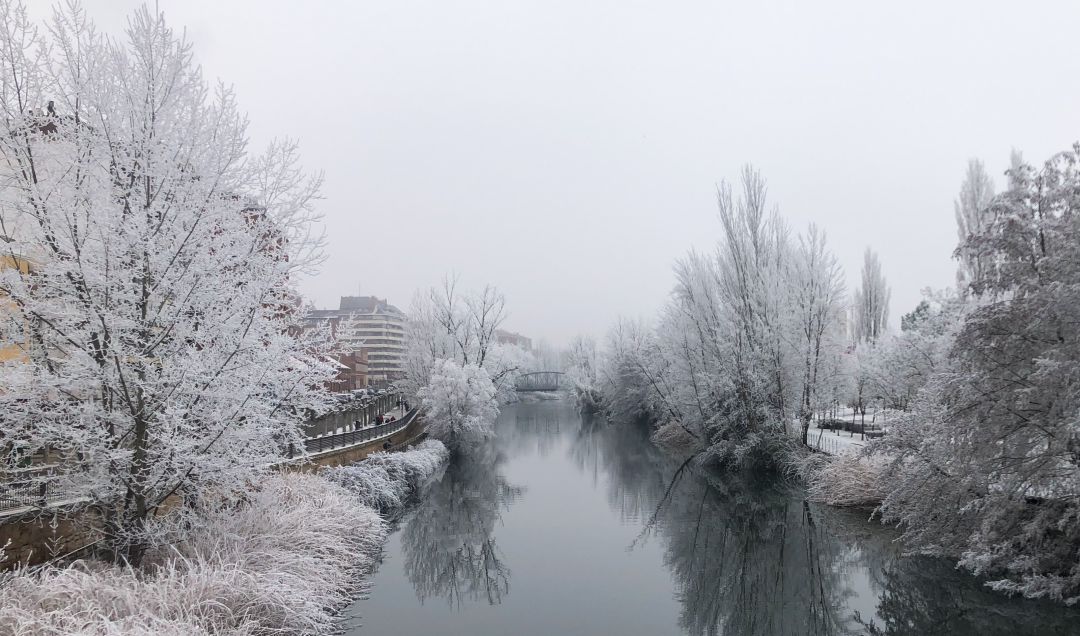 Imagen de la cencellada en la zona del río Carrión en Palencia publicada por la cuenta Oficial de la Concejalía de Cultura y Turismo del Ayuntamiento de Palencia. Imagen de la cencellada en la zona del río Carrión en Palencia publicada por la cuenta Oficial de la Concejalía de Cultura y Turismo del Ayuntamiento de Palencia.