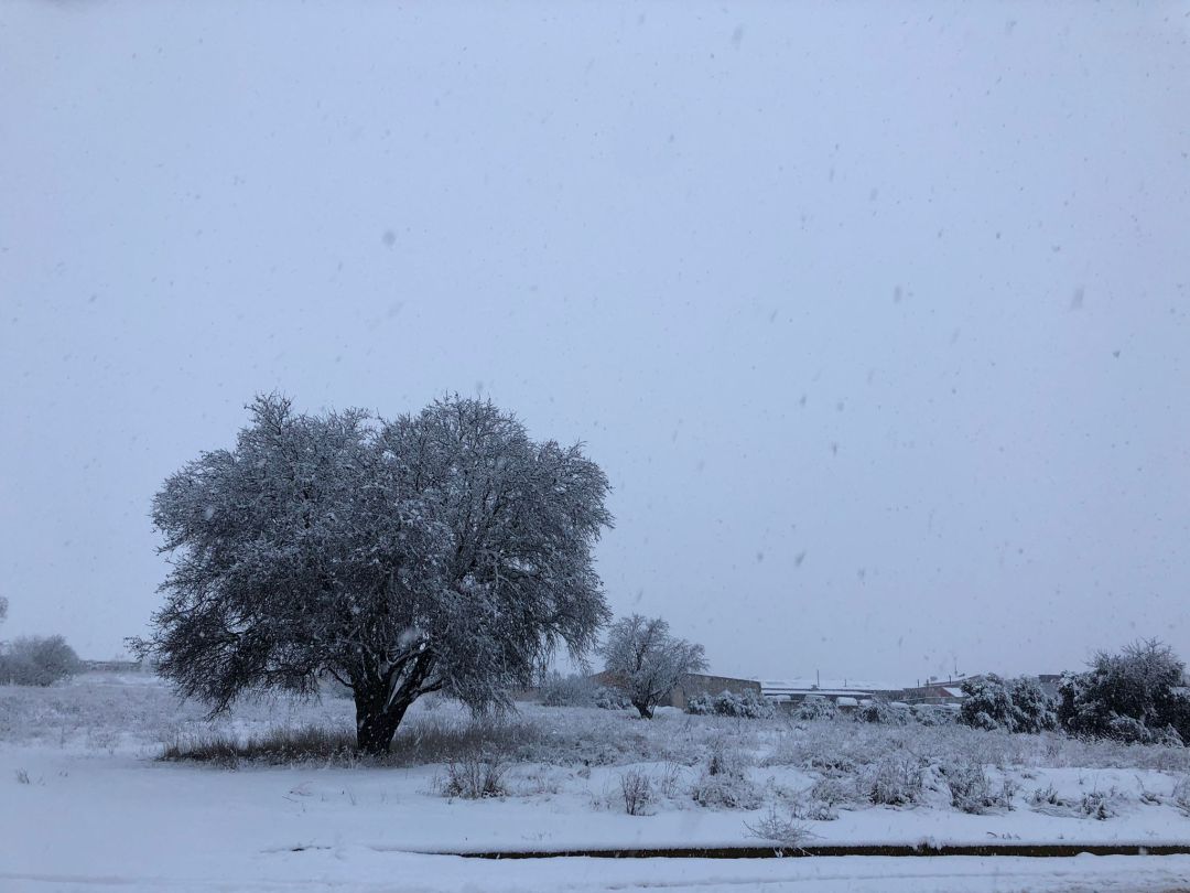 Campos nevados durante la borrasca "Filomena" Campos nevados durante la borrasca "Filomena"