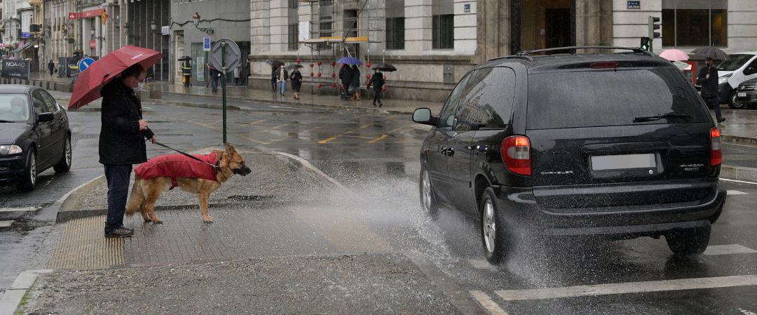 Una persona espera para cruzar con su perro en un paso de cebra de A Coruña, Galicia (España), a 20 de enero de 2021 Una persona espera para cruzar con su perro en un paso de cebra de A Coruña, Galicia (España), a 20 de enero de 2021