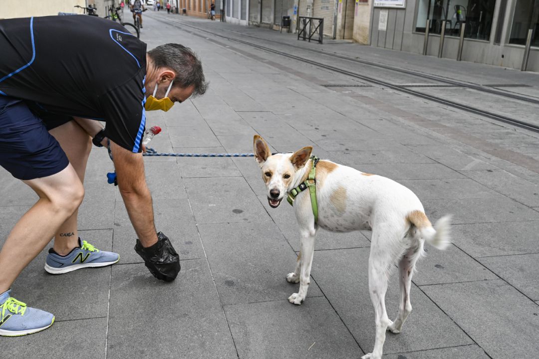 Un vecino de Armilla (Granada) limpia los excrementos de su perro Un vecino de Armilla (Granada) limpia los excrementos de su perro
