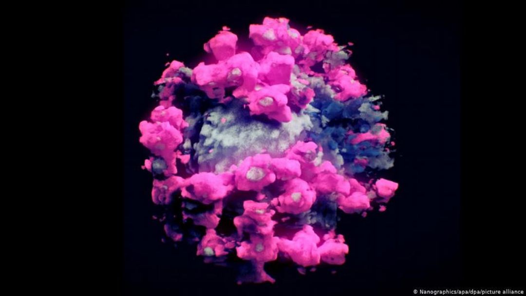 Científicos logran la primera fotografía tridimensional del virus Científicos logran la primera fotografía tridimensional del virus