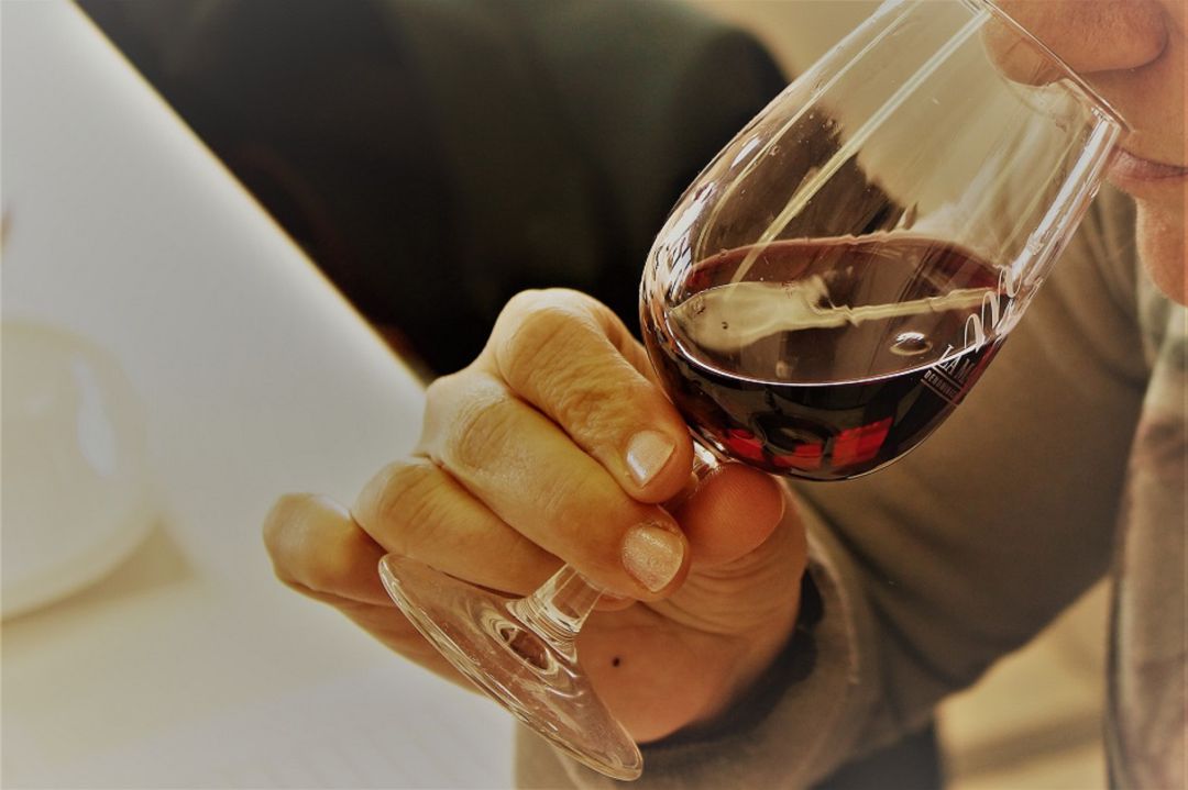 Cata de tinto de la añada 2020 Cata de tinto de la añada 2020
