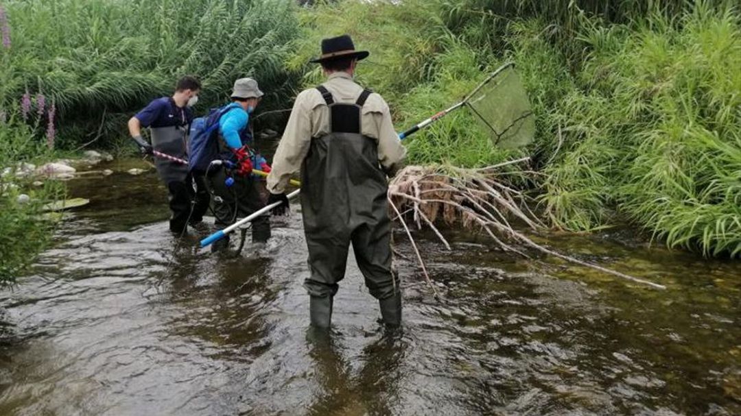Toma de muestras para realizar el estudio del agua del Serpis Toma de muestras para realizar el estudio del agua del Serpis
