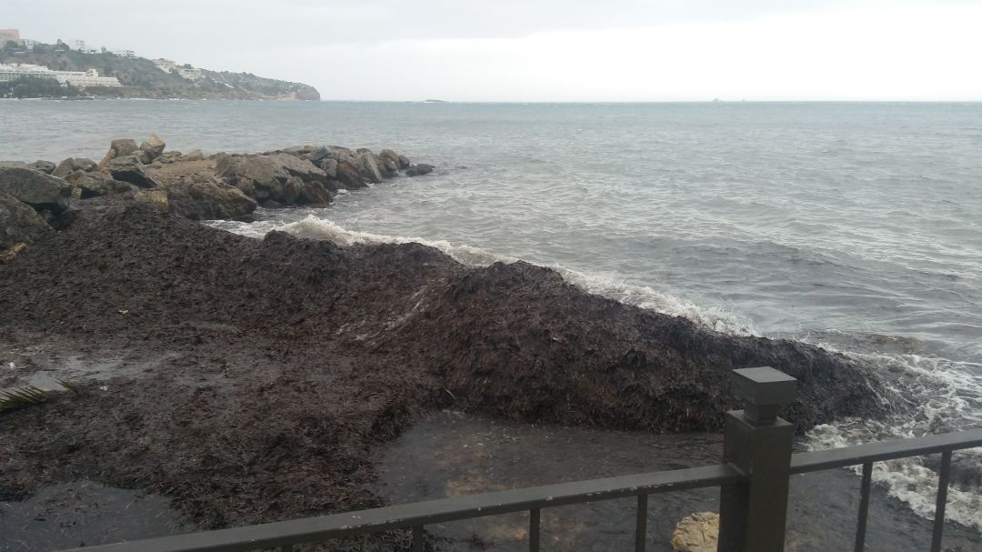 El temporal mantiene en alerta a las Pitiusas por viento y fenómenos costeros El temporal mantiene en alerta a las Pitiusas por viento y fenómenos costeros
