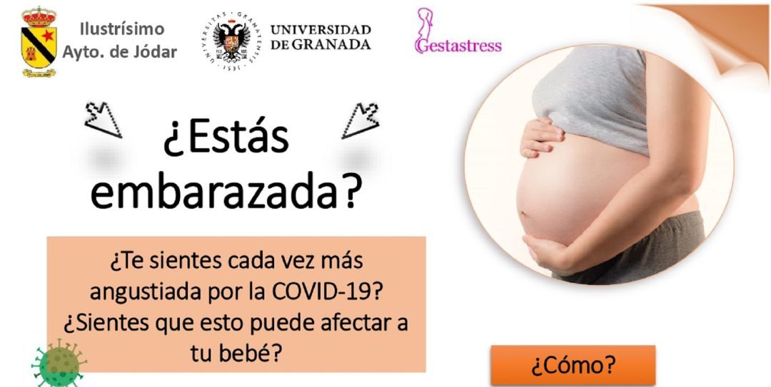 Cartel anunciador del programa Cartel anunciador del programa