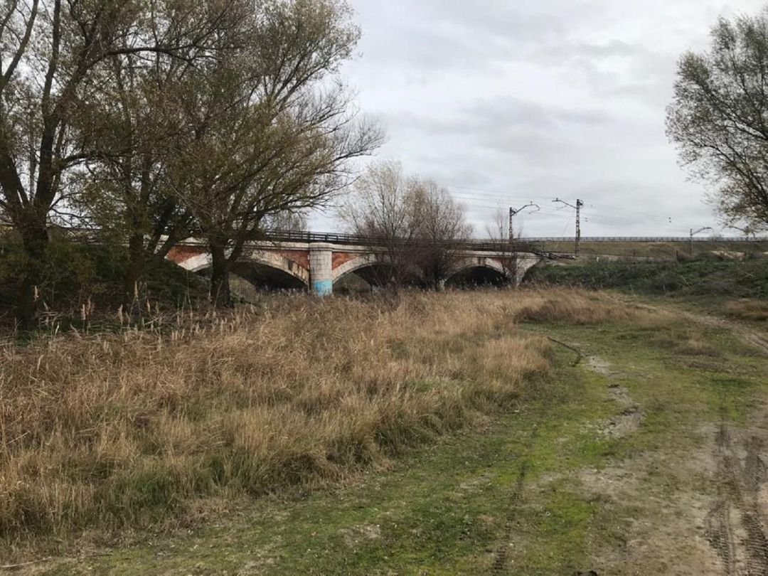El río Zapardiel será objeto de varias intervenciones durante los proximos meses El río Zapardiel será objeto de varias intervenciones durante los proximos meses